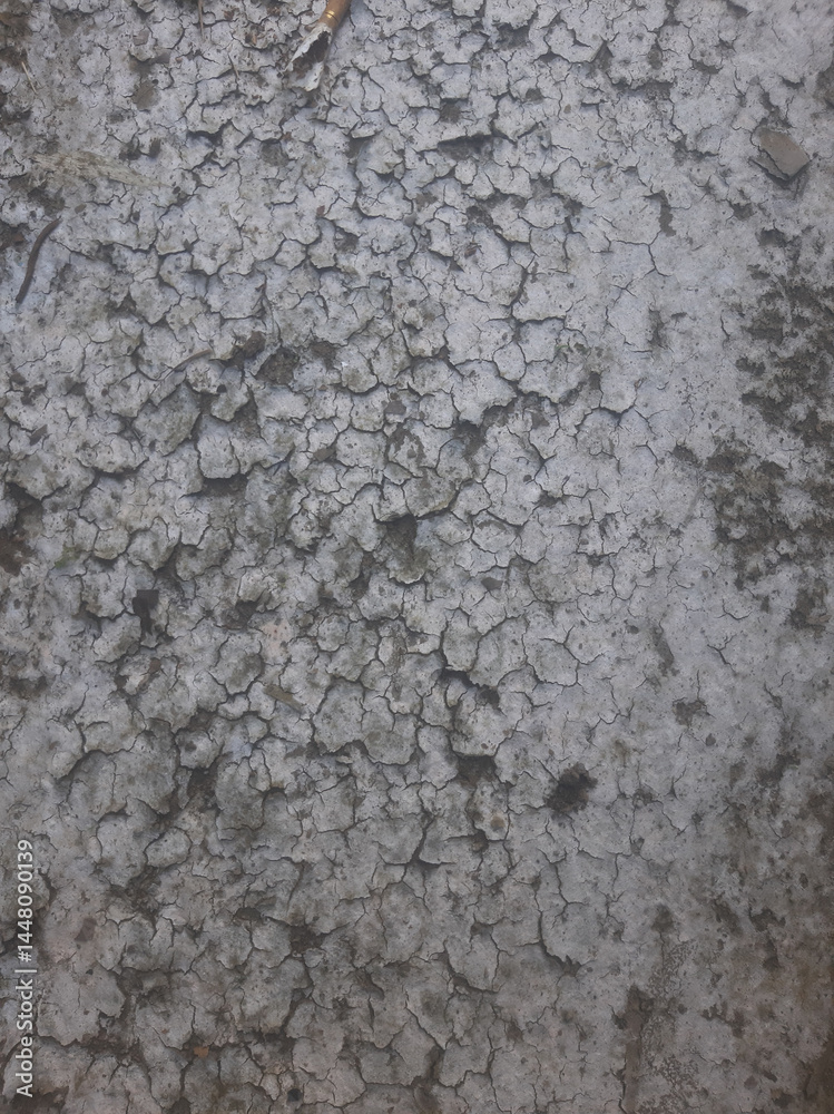 Cracked Surface Texture Gray Background Cracked Surface Texture Gray Background