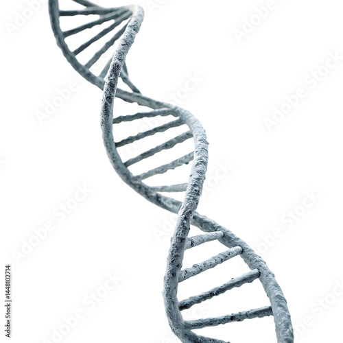 DNA strand isolated on a transparent background photo