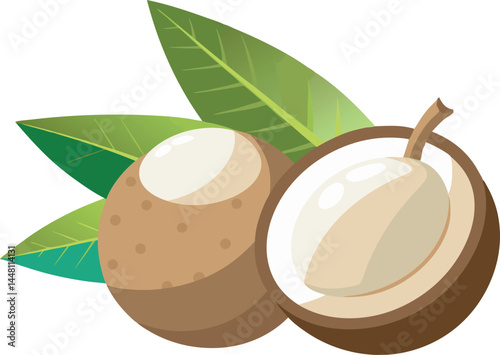 A vibrant vector art illustration showcasing beautiful, fresh longan fruits with lush leaves, highlighting their natural sweetness and tropical charm.