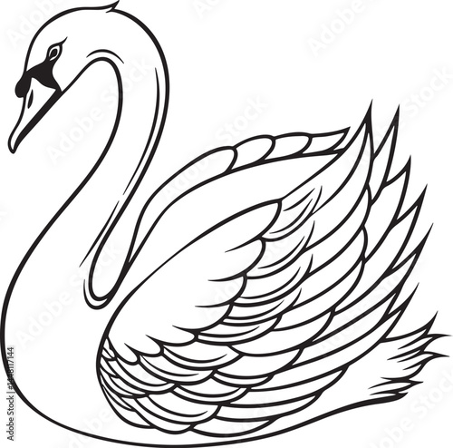 tundra swan bird silhouette vector illustration