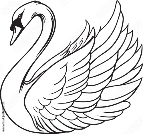 tundra swan bird silhouette vector illustration