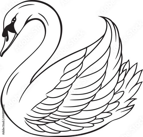 tundra swan bird silhouette vector illustration
