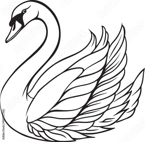 tundra swan bird silhouette vector illustration