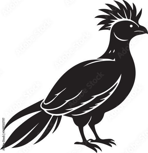 white cheeked turaco bird silhouette