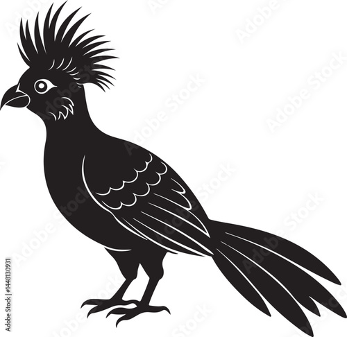 white cheeked turaco bird silhouette