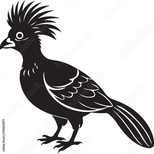 white cheeked turaco bird silhouette