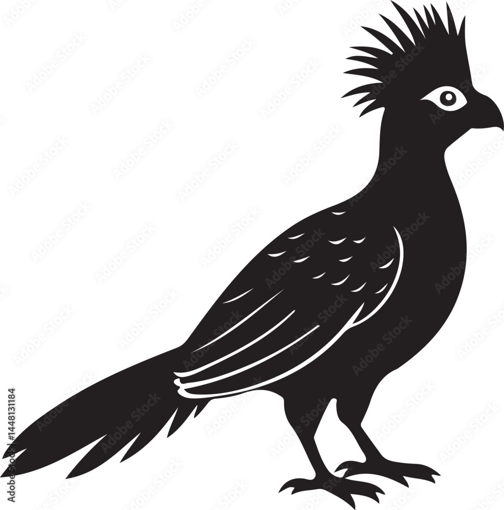 Fototapeta premium white cheeked turaco bird silhouette