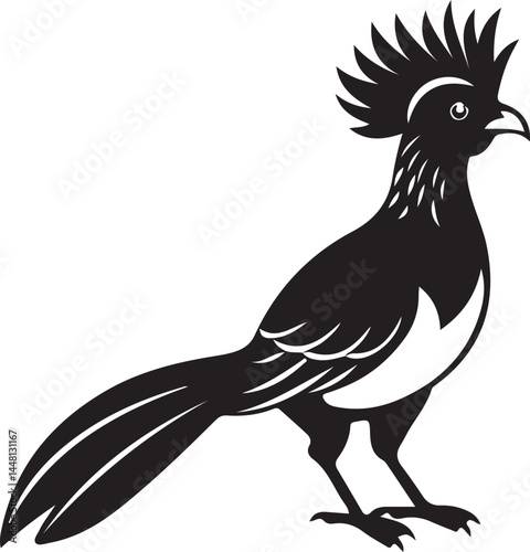 white cheeked turaco bird silhouette