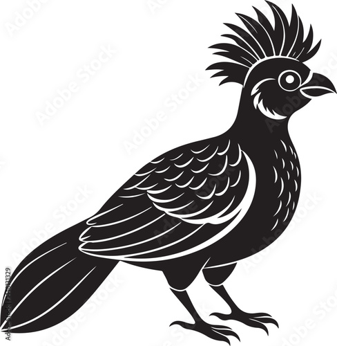 white cheeked turaco bird silhouette