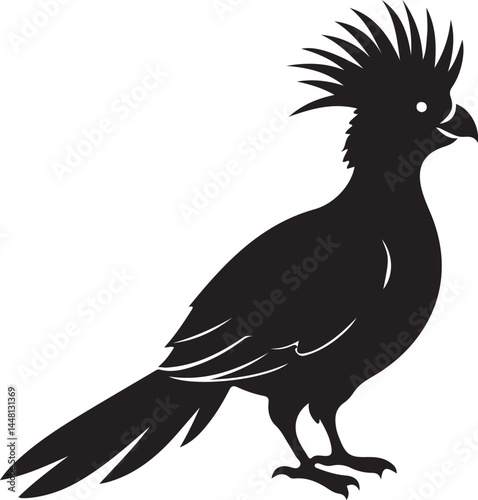 white cheeked turaco bird silhouette