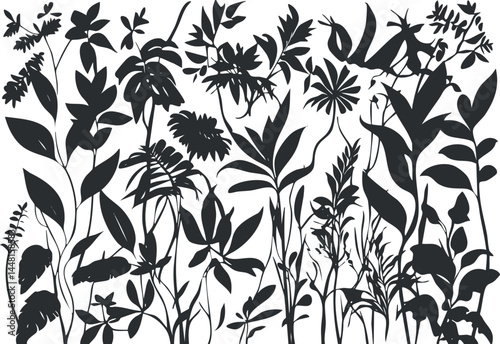Black and white silhouettes of various plants and leaves creating a natural botanical pattern