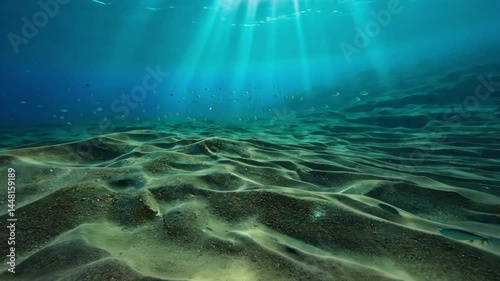 Breathtaking Underwater Scene with Sunlight Streaming Through Clear Water and Sandy Bottom