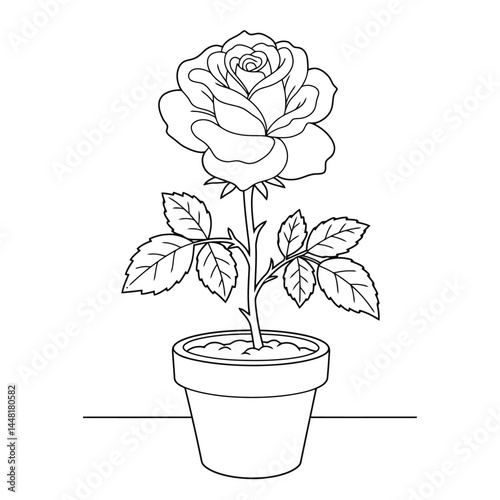 Simple black-and-white outline of a rose flower planted in a decorative pot, ideal for coloring illustrations, educational materials, or creative expression projects focusing on nature and plant-theme