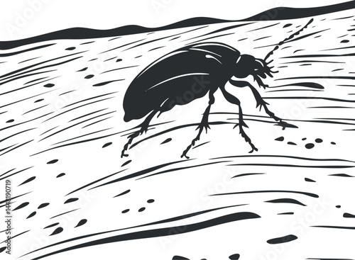 Black and white silhouette of a beetle crawling on textured wood surface outdoors in nature