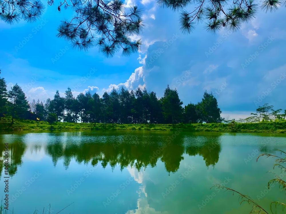 Obraz premium Tranquil Forest Lake with Pine Trees Reflected in Calm Water under Blue Sky