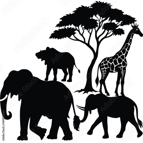 animal vector set
