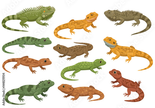 Colorful Lizards and Iguanas A Vibrant Reptile Collection