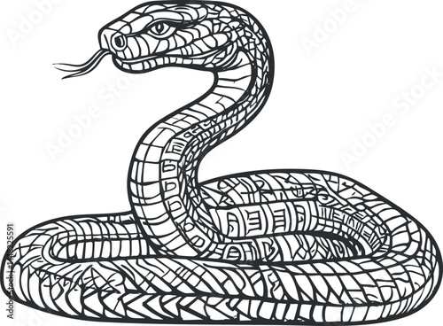 Black and white vector illustration of a coiled snake with detailed scales and forked tongue