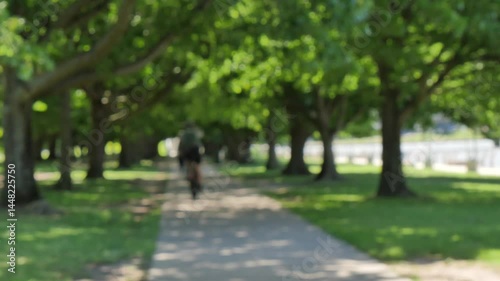 Wallpaper Mural People riding bikes under a leafy path Torontodigital.ca