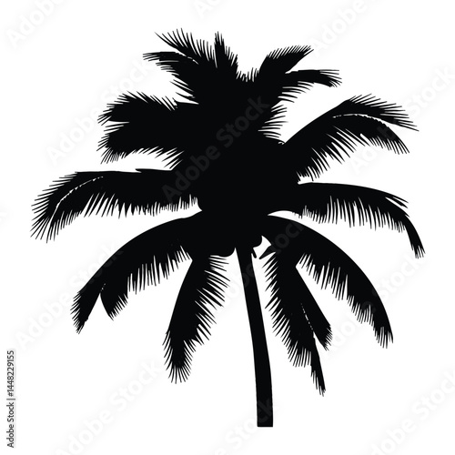 palm tree silhouette