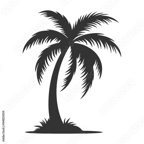 silhouette of palm tree