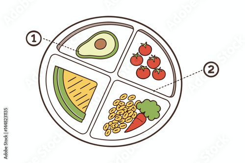 Healthy Portion Plate Vector – Divided Meal with Fruits, Vegetables, Grains & Protein in Infographic Style