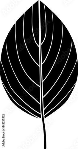Dogwood leaf silhouette vector
