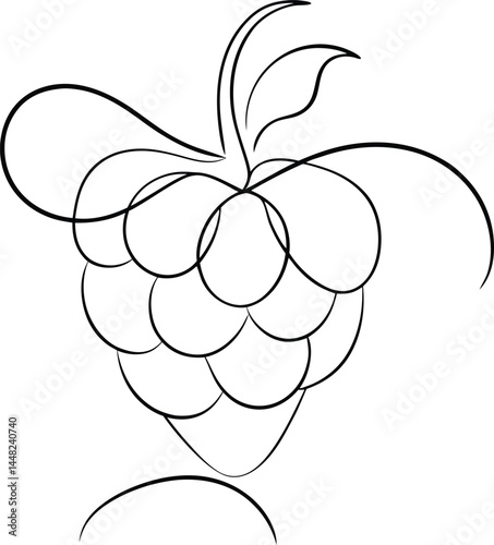 Botanical raspberry fruit drawing created in elegant continuous line art style suitable for wellness branding organic food labels and nature inspired design projects