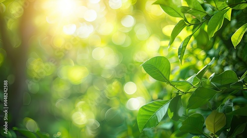 A vibrant green foliage scene with sunlight creating a bokeh effect.