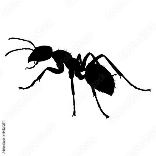Black Silhouette of an Ant Isolated on White Background