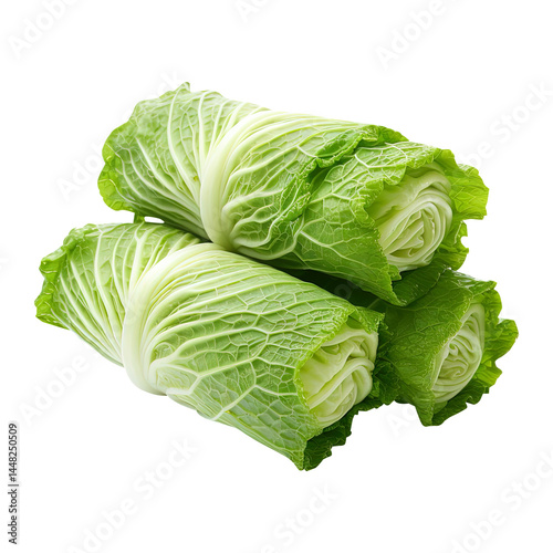 cabbage leaf roll isolated on transparent white background, clipping path