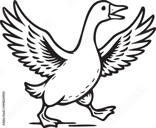 goose isolated on white