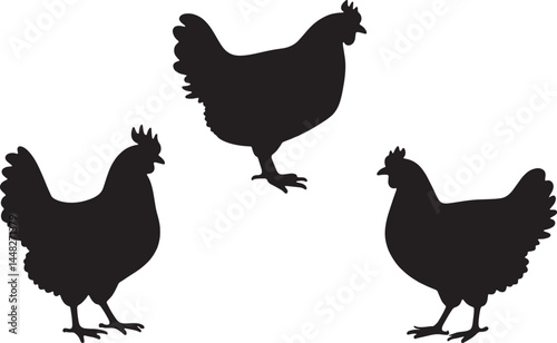 Vector illustration shows a farm rooster, hen, and chicken silhouette, a domestic poultry animal with a beak and feathers, in a nature-inspired drawing