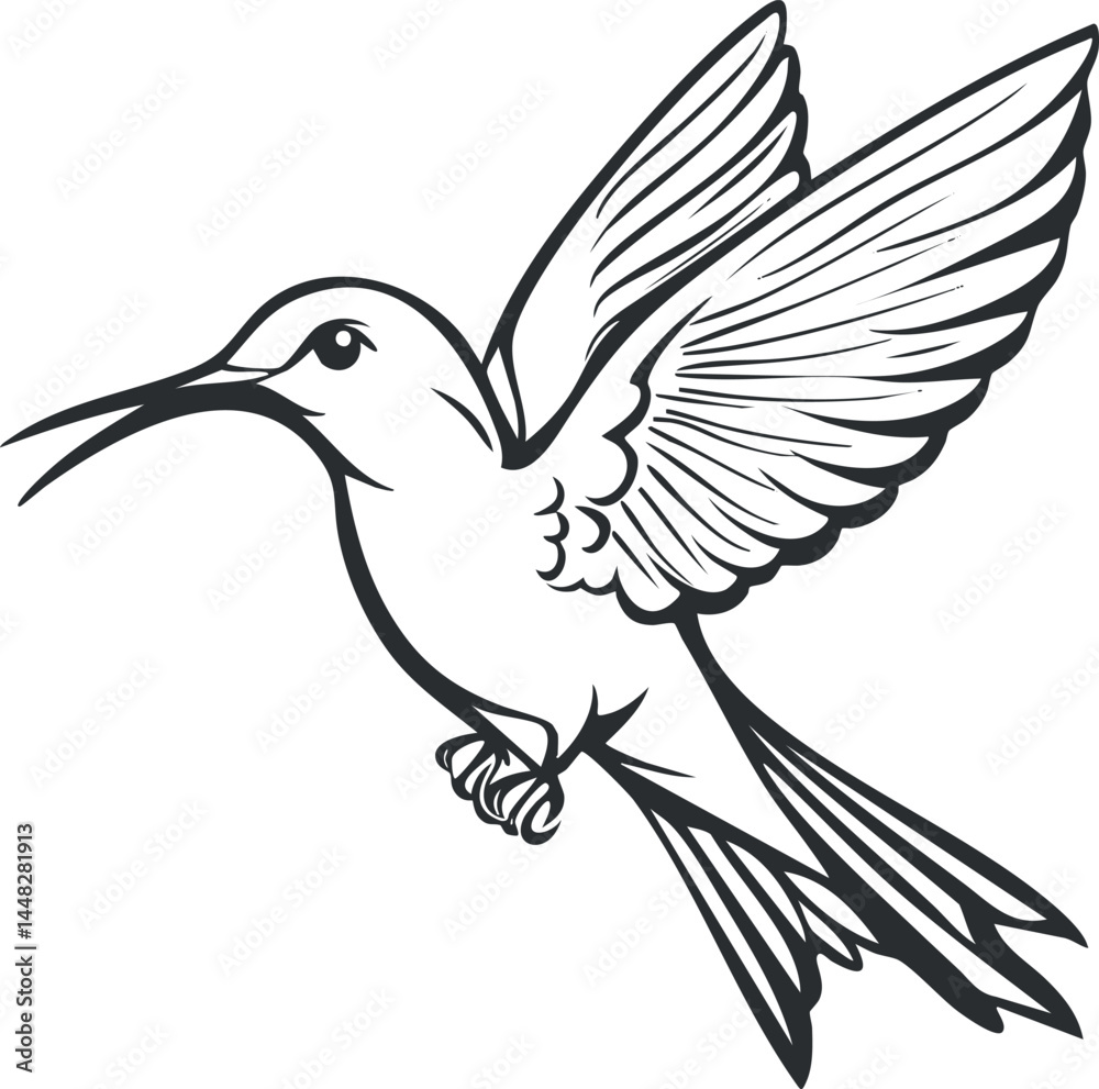 Fototapeta premium Black and white line art illustration of a hummingbird in flight with detailed wings and beak