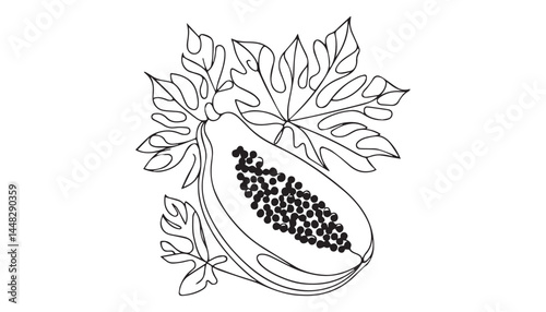 Continuous one single minimal line drawing Papaya