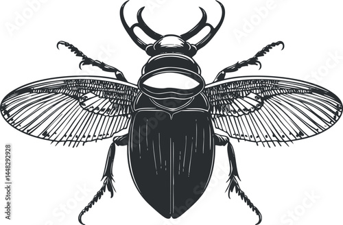 Detailed black and white illustration of a beetle with spread wings showing intricate patterns