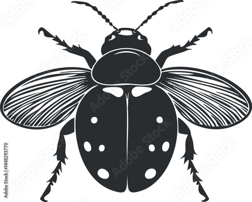 Black and white vector illustration of a beetle insect with detailed wings and antennae on a white background