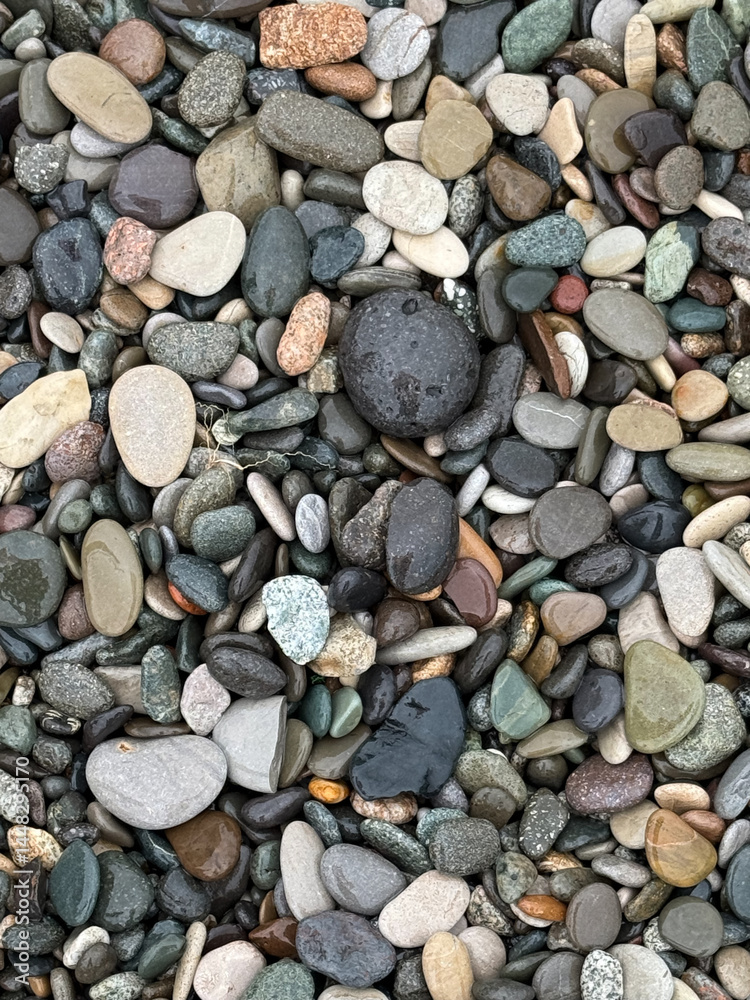 Close-up photo of multicolored wet pebbles and stones of various shapes and sizes collected on a beach, showing natural texture and variation. Close-up photo of multicolored wet pebbles and stones of various shapes and sizes collected on a beach, showing natural texture and variation.