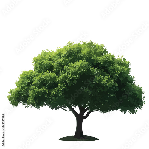 Vector watercolor green tree or forest side view isolated on white background for landscape and architecture drawing,elements for environment or and garden,Shrub for section