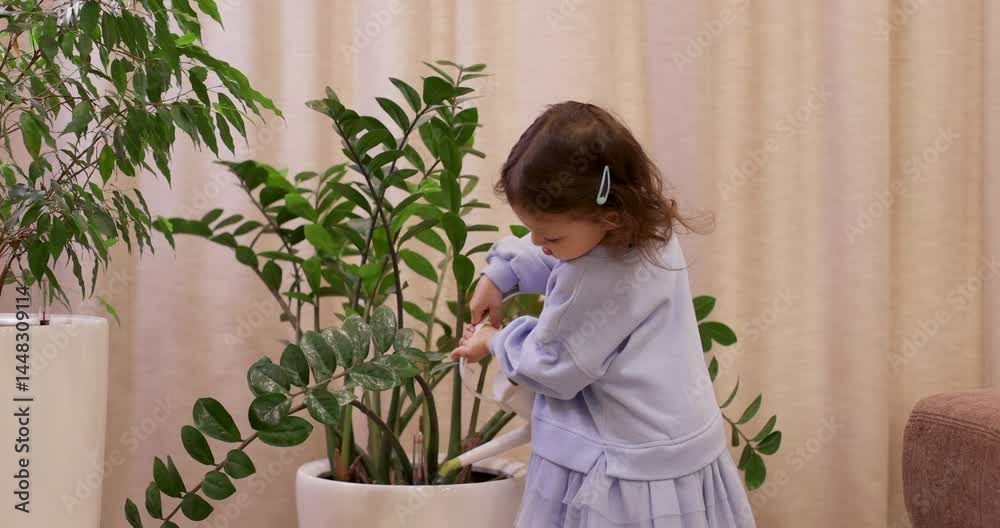 cute little child girl takes care of plants at home. toddler kid holding watering can water house plant in pot cute little child girl takes care of plants at home. toddler kid holding watering can water house plant in pot