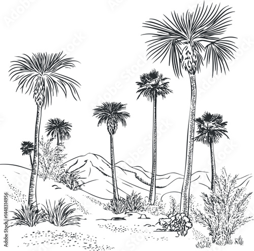 Black and white line drawing of a desert landscape with tall palm trees, shrubs, and distant mountains.