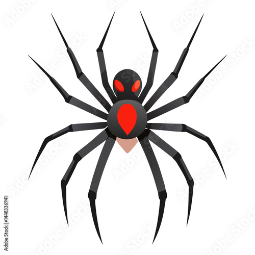 spider on a white background