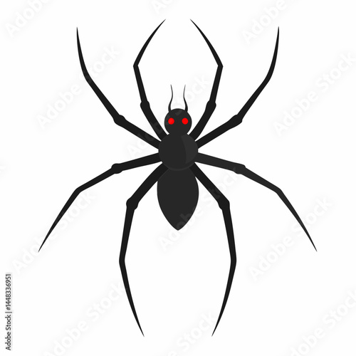 black widow spider