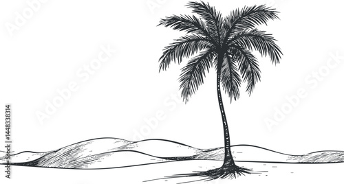 Black and white sketch of a single palm tree in a desert landscape with sand dunes in the background