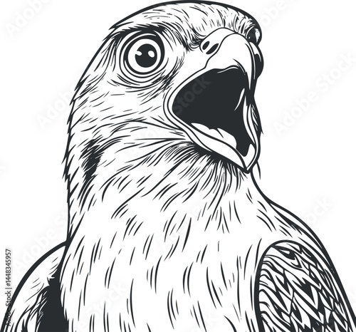 Black and white detailed illustration of a hawk with open beak and sharp eyes in closeup