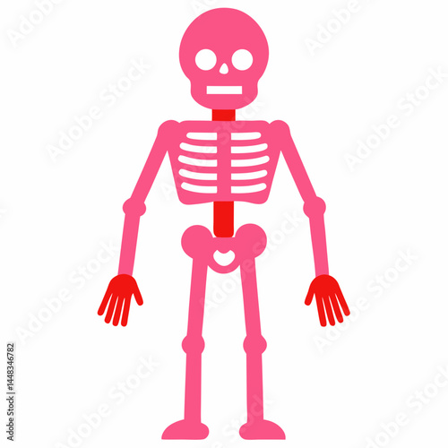 3d rendered illustration of a skeleton