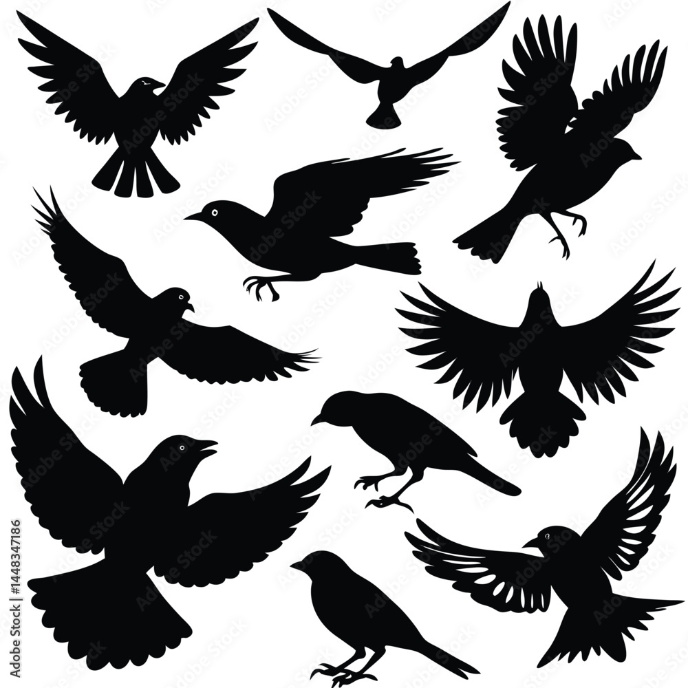 Fototapeta premium black silhouettes of birds