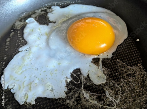 Spiegelei von einem Gänseei
