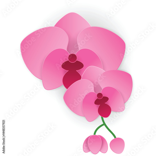 Topical pink orchid flower vector isolated icon. Hawaiian blossom plant bud. Spa botanic design element on white background