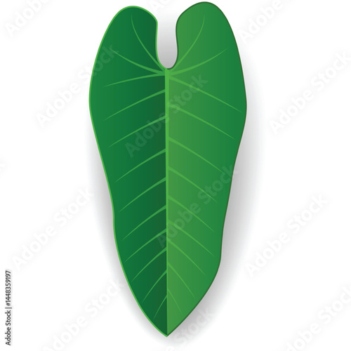 Coco palm foliage vector icon. Single cartoon exotic frond illustration. Part of tropical palm tree isolated on white. Green coconut or banana leaf symbol. Jungle leafage design element